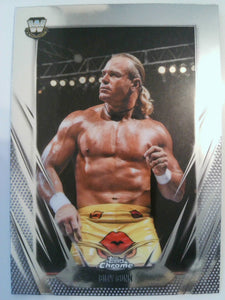 2026 Topps Chrome WWE Wrestling Billy Gunn #22