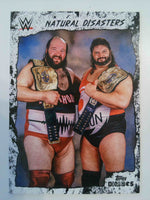 2026 Topps Decades 1990's WWE Wrestling Natural Disasters #148