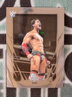 2026 Topps Chrome WWE Wrestling Berto #122
