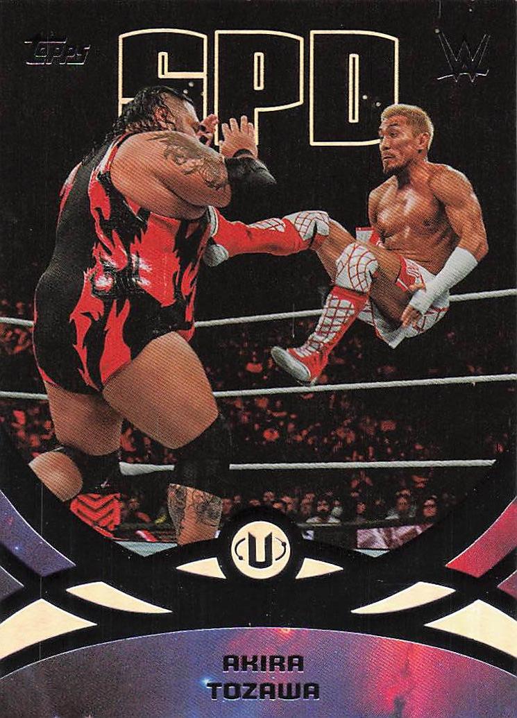2026 Topps Universe WWE Wrestling Akira Tozawa #228