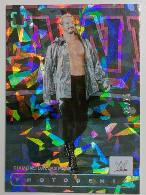 2024 Panini Photogenic WWE Wrestling Diamond 28/75 Diamond Dallas Page #139
