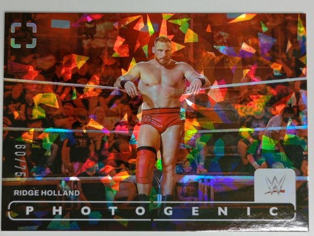 2024 Panini Photogenic WWE Wrestling Diamond 60/75 Ridge Holland #88