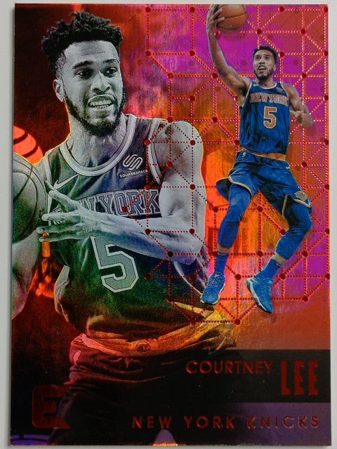 2017-18 Panini Essentials Basketball Retail Courtney Lee #194