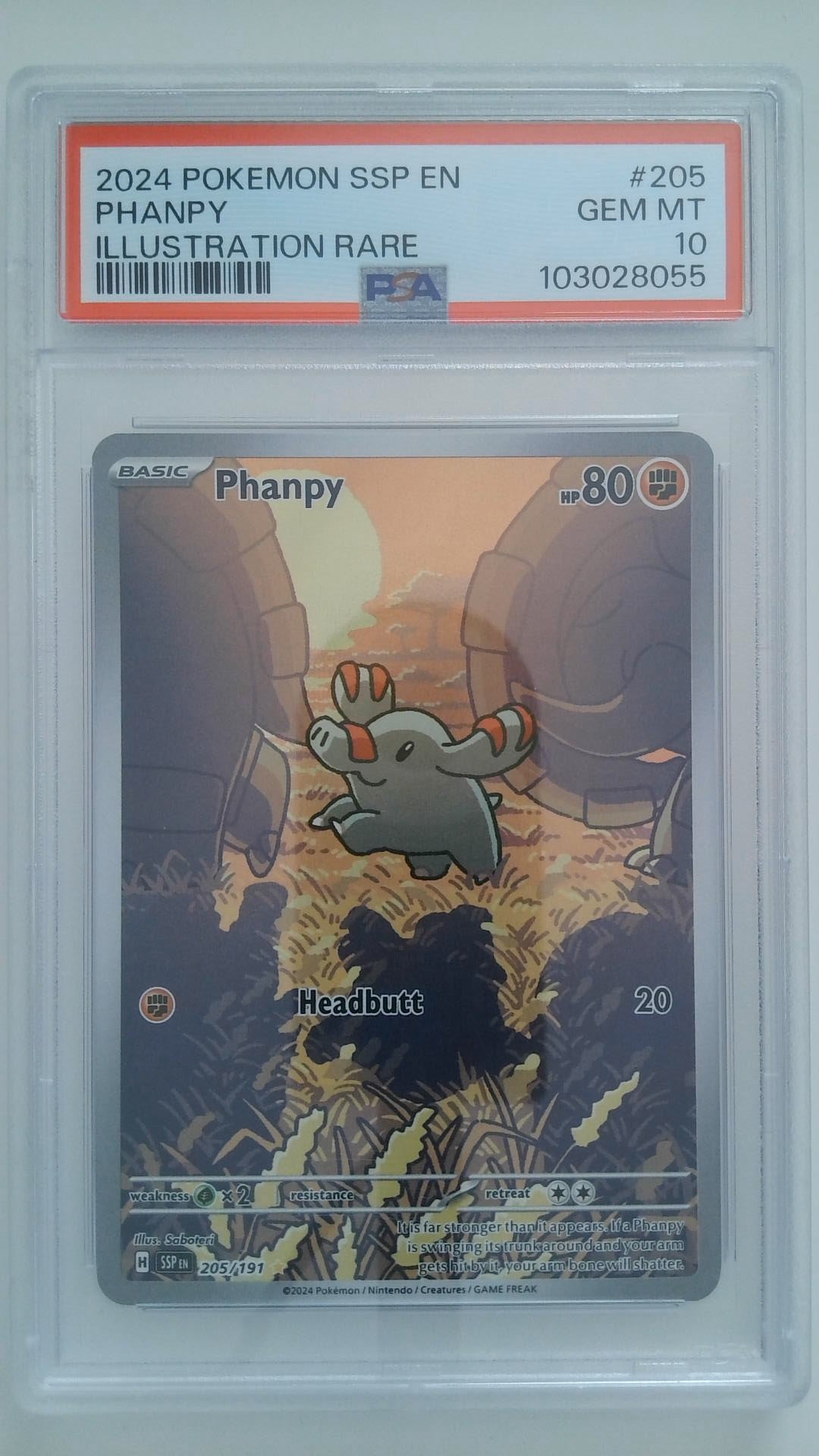 2024 Pokemon SSP EN Illustration Rare Phanpy #205 PSA 10